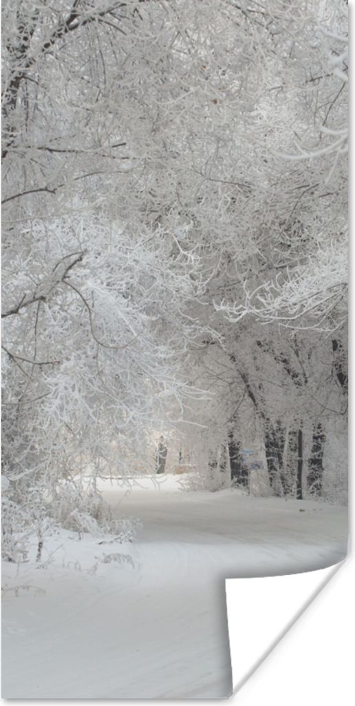 MuchoWow Poster Bäume - Schnee - Winter 75x150 cm - Dekoration für die Wände
