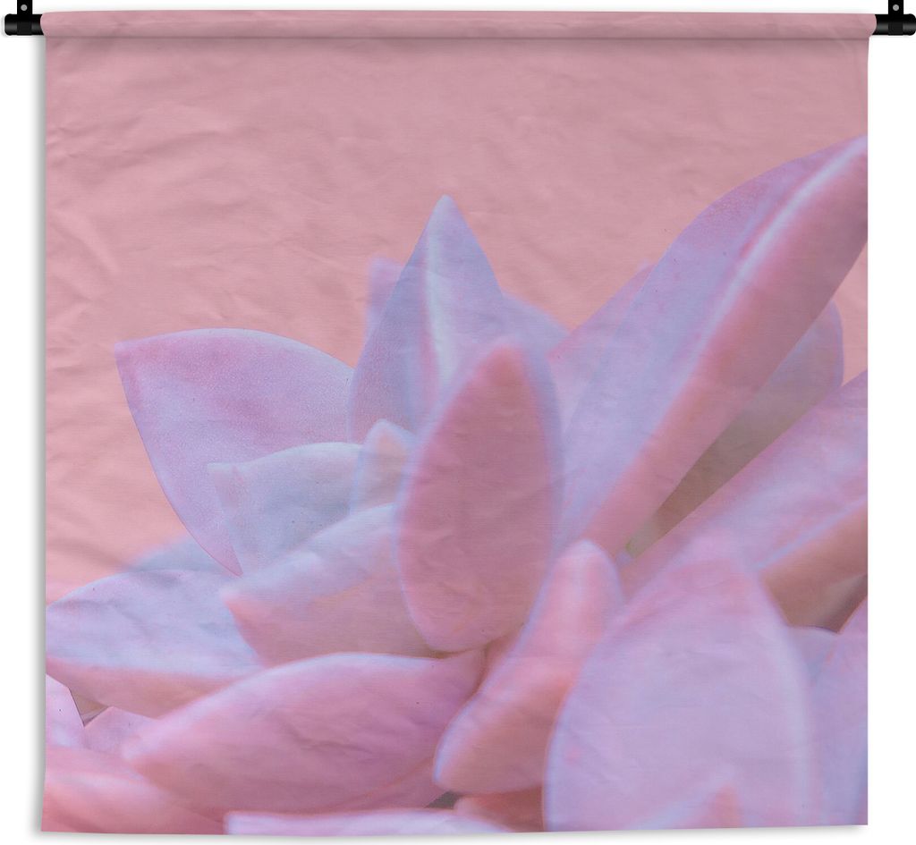 MuchoWow Wandteppich Wandbehang Sukkulente - Sommer - Rosa - Pflanzen 150x150 cm Tapisserie Dekoration Wandtuch - Wohnaccessoires - Modernes