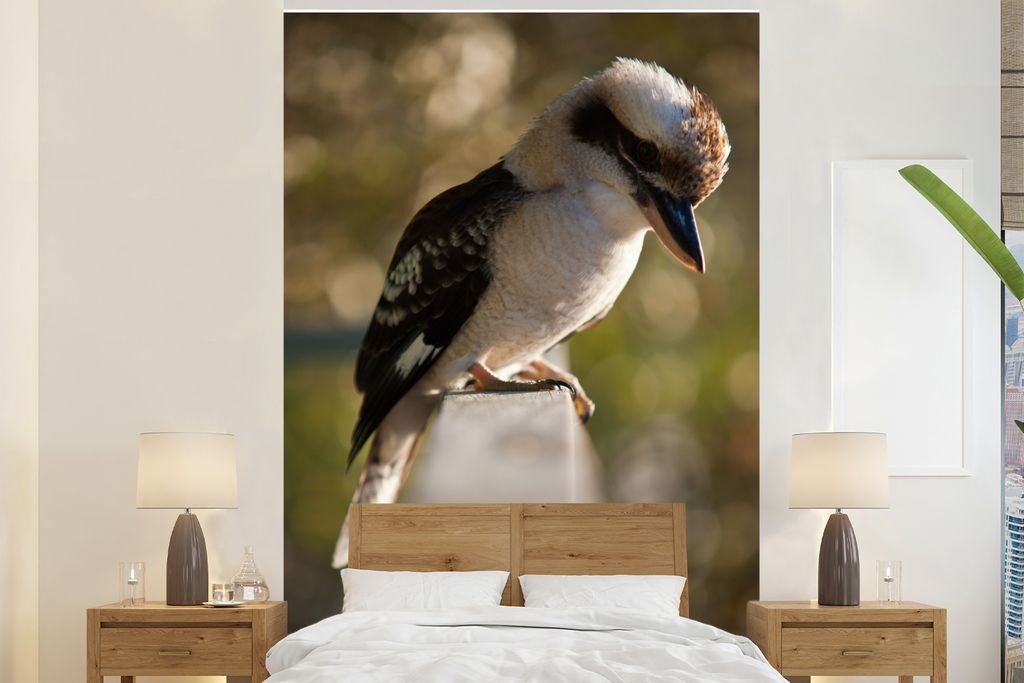MuchoWow Fototapete für Wohnzimmer oder Schlafzimmer Wandtapete Vinyl Motivtapete Ein Kookaburra sitzt auf einem Geländer - 180x280 cm - Wallpaper