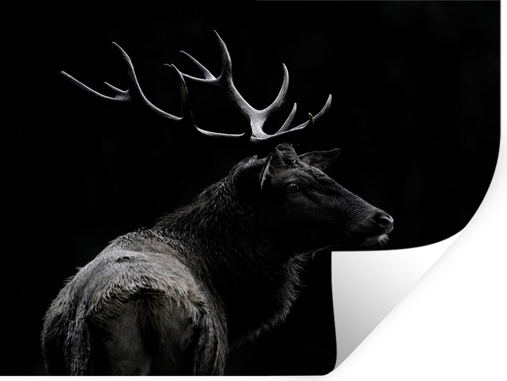 MuchoWow Wandtattoo Wandsticker Wandaufkleber Hirsch - Schwarz - Porträt - Geweih - Tiere 120x90 cm Selbstklebend und Repositionierbar - Aufkleber