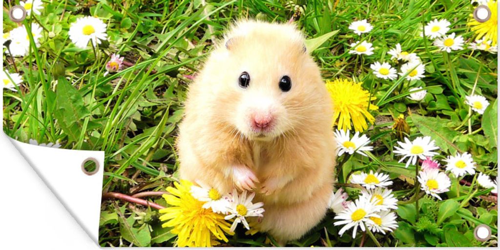 MuchoWow 60x30 cm Outdoor-Poster Gartendeko Sichtschutz Garten Poster für den Garten Hamster zwischen Blumen