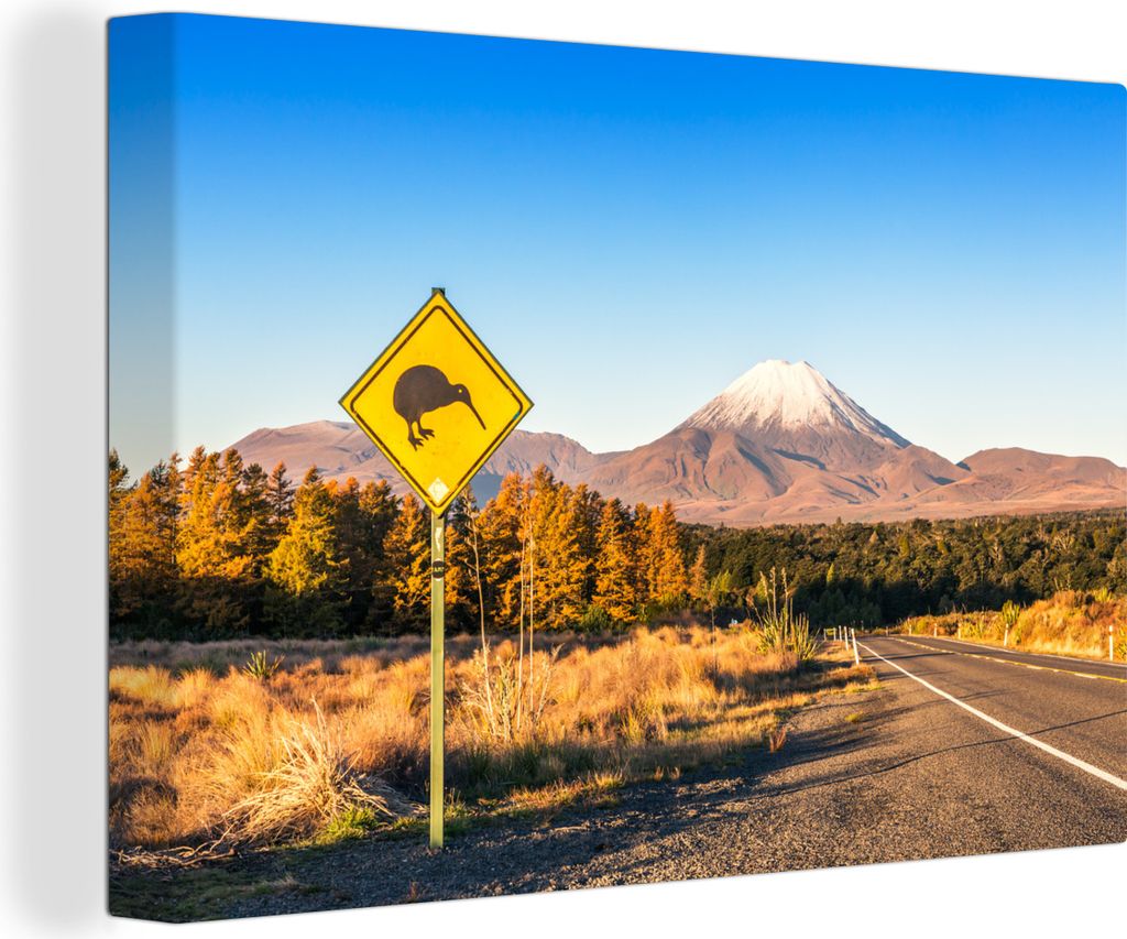 OneMillionCanvasses - Leinwandbilder - 140x90 cm, Kiwi-Teller Neuseeland, Wandbilder Kunstdruck Wanddekoration - Foto auf Leinwand - Gemälde auf...