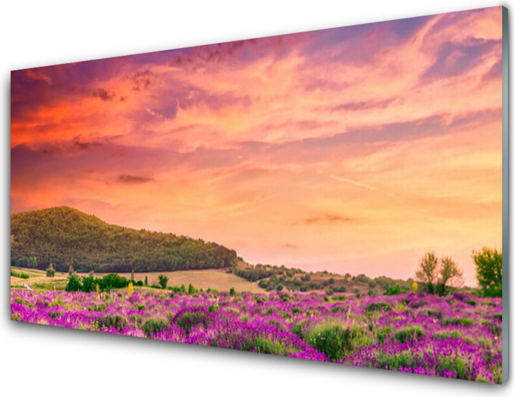 Küchenrückwand aus Glas 100x50cm Spritzschutz Wiese Blumen Landschaft