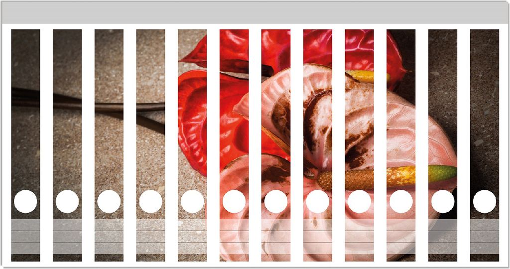 Wallario Ordnerrücken Sticker, selbstklebend für schmale Ordner, 12 Stück, Motiv Blüten einer Flamingoblume - Anthurie - auf schwarzem Marmor