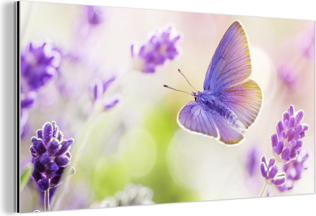 MuchoWow Wanddekoration Metall Metallbild Wandkunst 40x20 cm Lavendel - Schmetterling - Blumen MuchoWow Aluminium Gemälde - Bild - Aluminium