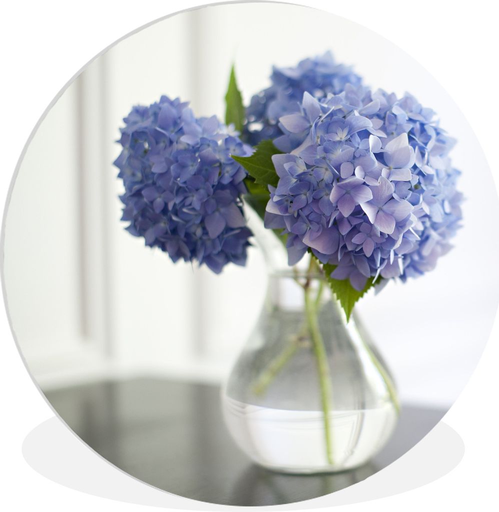 MuchoWow Rundes Wandbild - Runde Bilder Blaue Hortensien in Vase Ø 90 cm Kreis Wanddekoration Kunststoff - Wandkreis - Wandschmuck - Wand-Kreis ...