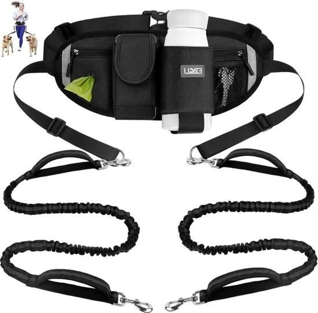 Laisse double chien pour course à pied et jogging avec ceinture mains libres