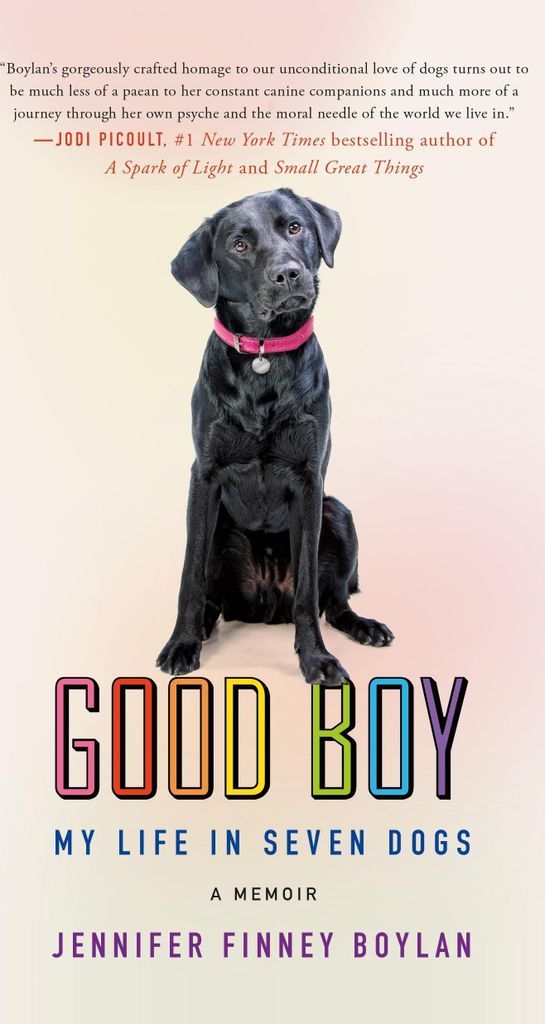 Good Boy