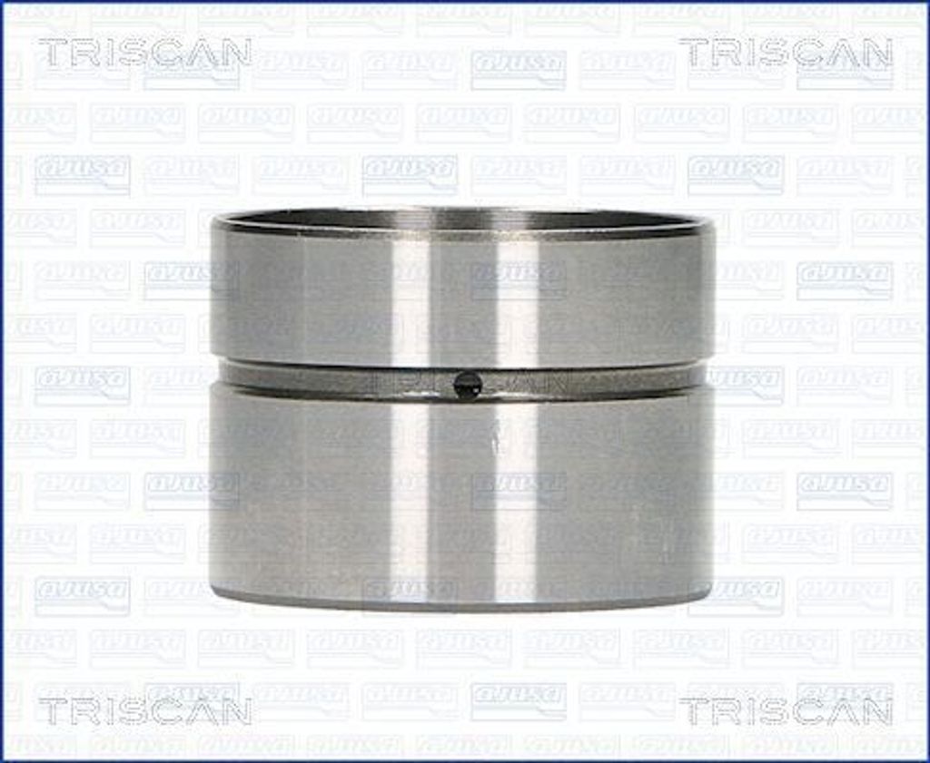 TRISCAN 80-29003 Hydrostößel Ventilstößel für VW Golf IV Produktbild 