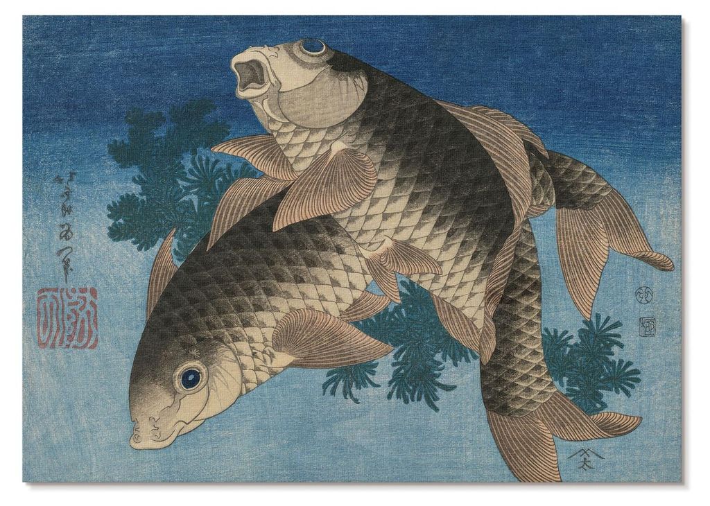 POSTER - 29x21 cm (A4) - Hokusai - Karpfen schwimmt zwischen Algen (1831) – Japanische Illustration eines Fisches - Wandbild für Wohnzimmer Schl...