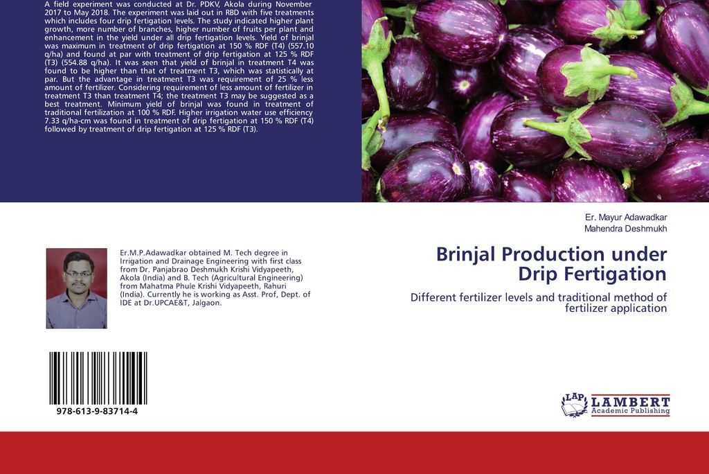 Brinjal Production under Drip Fertigation