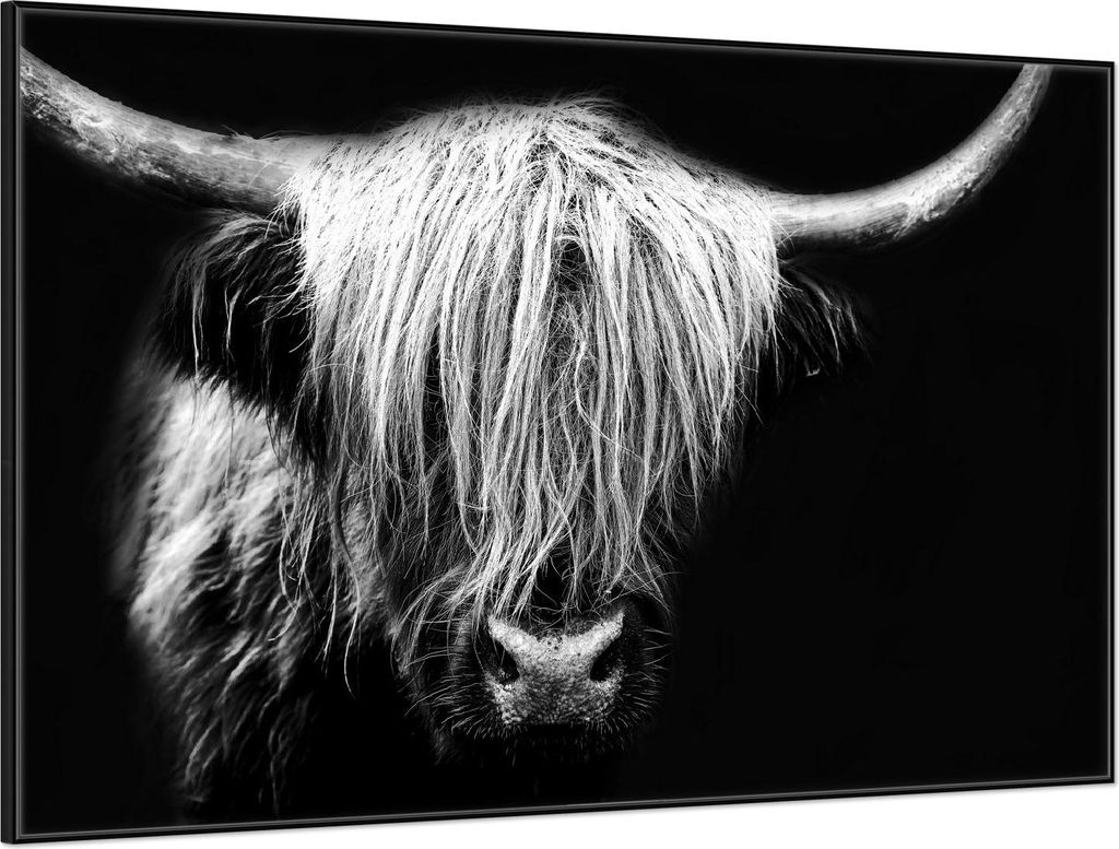 Wallario Wandbild Highlander in schwarz-weiß, Größe: 61 x 91,50 cm, Poster mit schwarzem Aluminiumrahmen