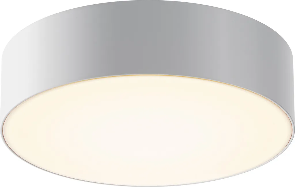 Plafonnier Extérieur LED Puissant 30W IP54 Blanc Éclairage Large Zon