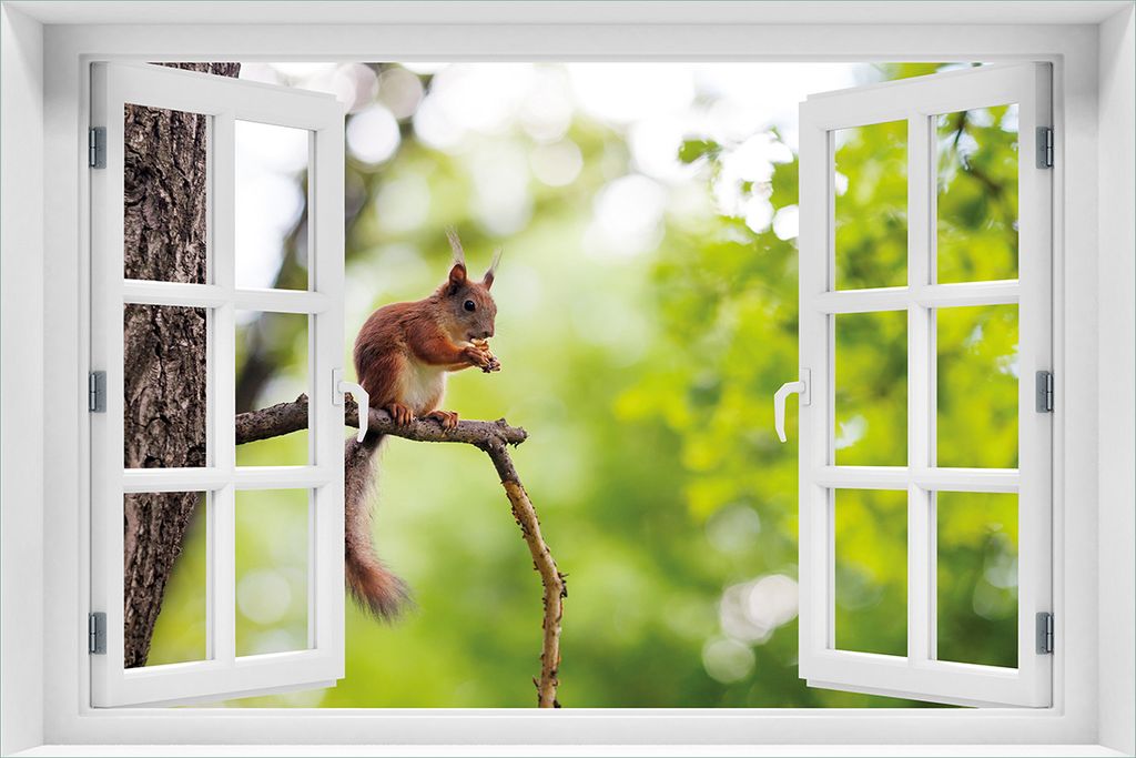 Wallario Wandbild aus Acryl, 60 x 90 cm, freischwebende Optik - Eichhörnchen auf einem Ast mit Fenster-Illusion
