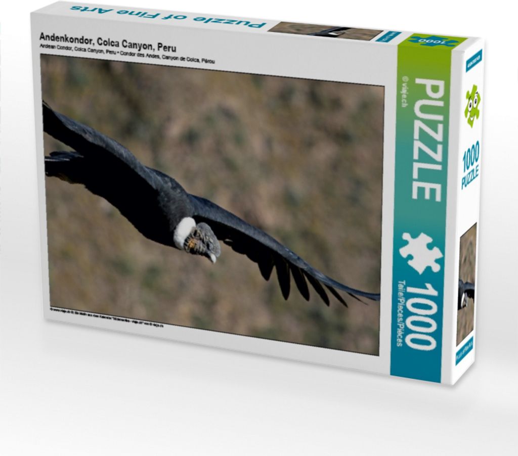 Calvendo Andenkondor, Colca Canyon, Peru 1000 Teile Puzzle quer 640x480mm, viaje.ch ; 7449685