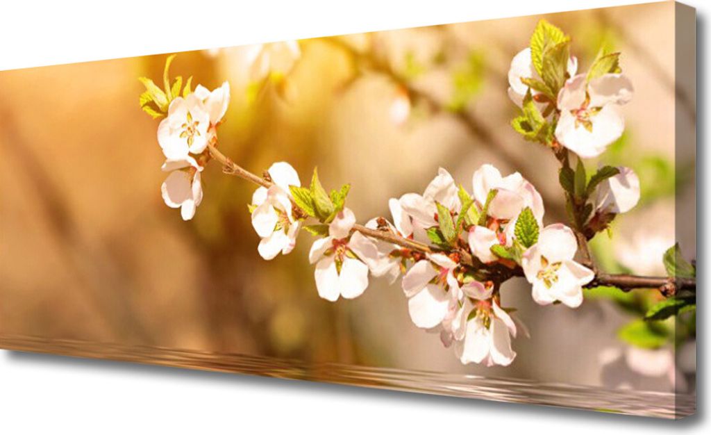 Tulup Leinwand-Bilder 125x50 Wandbild Canvas Kunstdruck Blumen Pflanzen