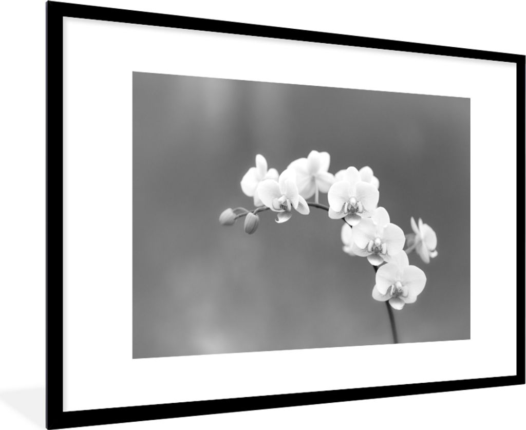 MuchoWow MuchoWow Gerahmtes Poster Orchidee - Blumen - Pflanze - Weiß - Lila 90x60 cm - Poster mit zchwarzem Bilderrahmen - Wanddekoration - F...