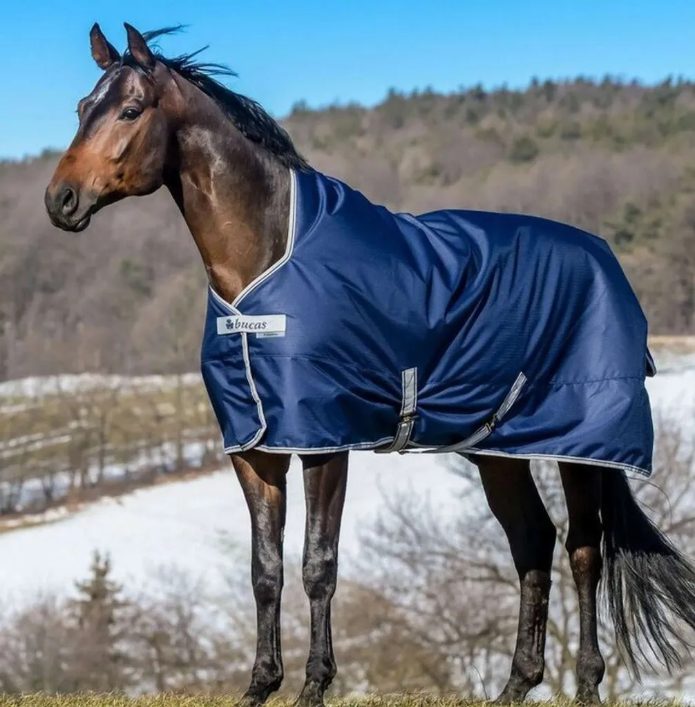 BUCAS Freedom Turnout light COLLO ALTO 0g navy , Buc17_Gr.:145 cm