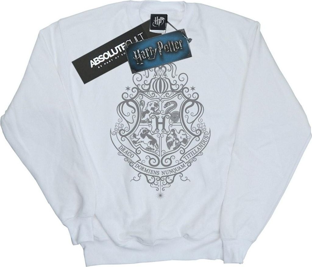 Harry Potter - "Hogwarts Draco Dormiens" Sweatshirt für Herren BI27580 (3XL) (Weiß)