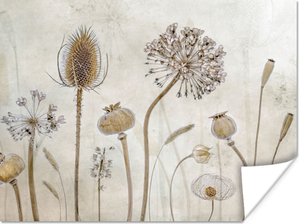 MuchoWow Poster Blumen - Aquarell - Stilleben - Braun - Vintage 40x30 cm - Plakate für die Wände - Poster Wohnzimmer