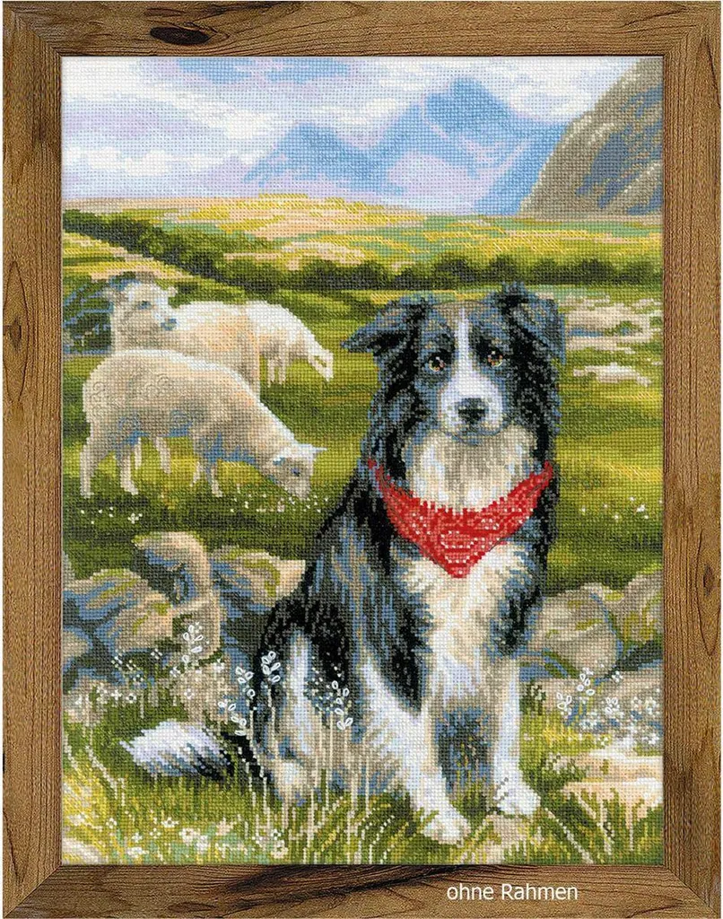 Kit Point de Croix Border Collie Facile à Broder avec Grille Couleur