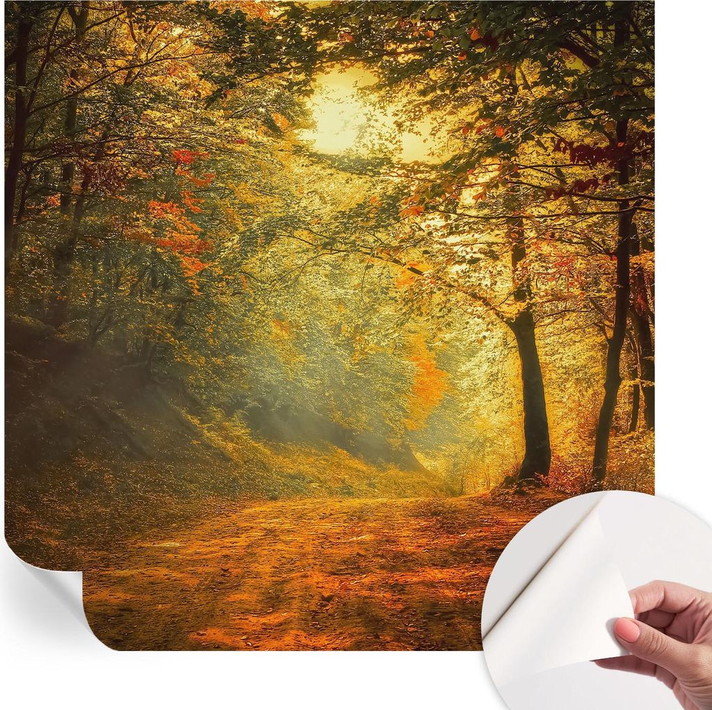 Selbstklebende Wandtapete - Dekorative Tapete für Wohnzimmer - Klebefolie für Wandbilder - Tapetenfolie für Wanddekoration - 250x250 cm - Herbst...