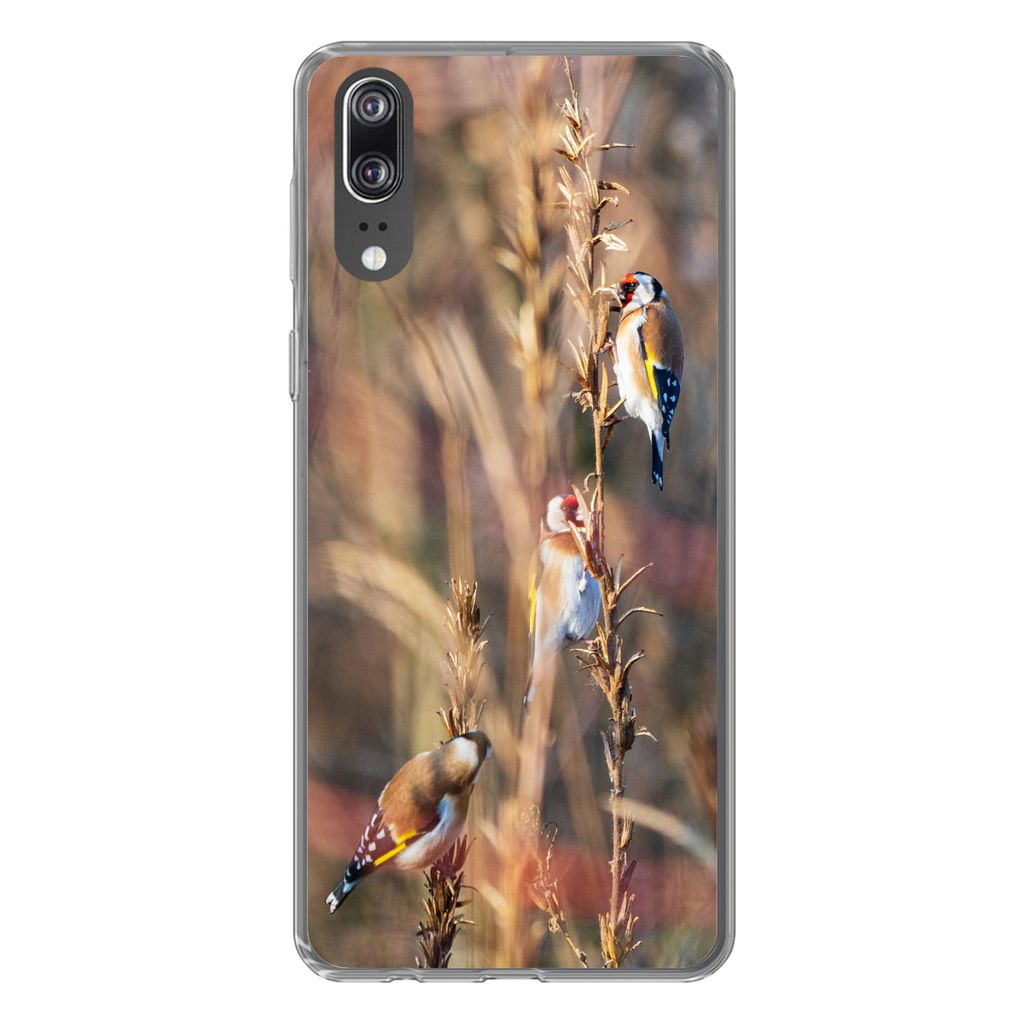 MuchoWow Handyhülle Schutzhülle Hülle für Huawei P20 Vögel - Äste - Wald Silikon Softcase Handy Hülle - Hardcover