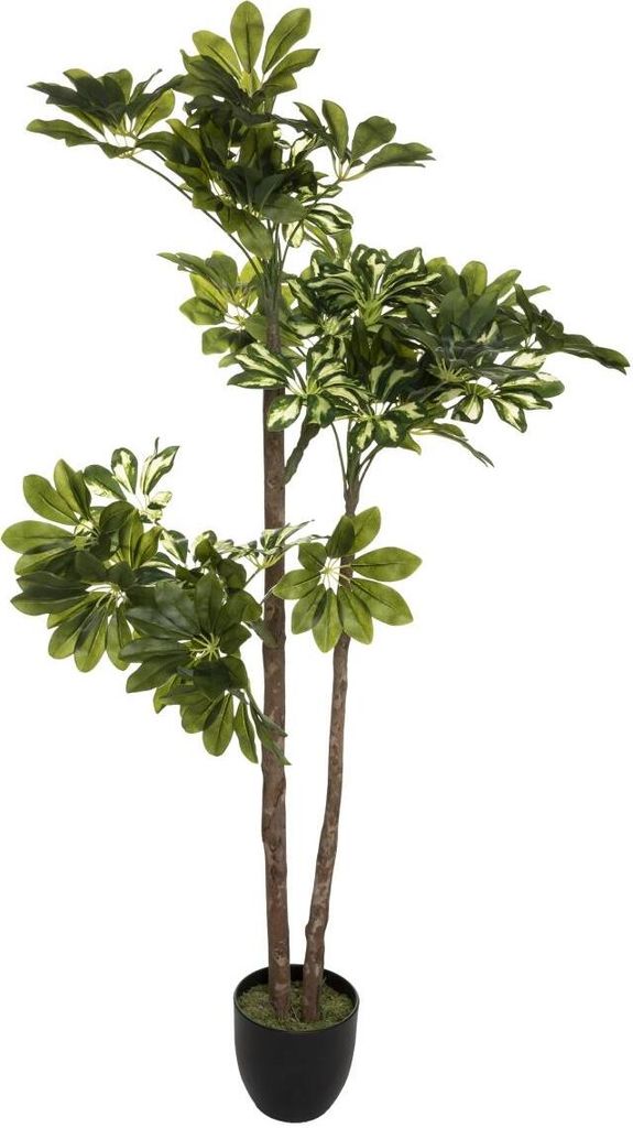 Künstliche schefflera h130cm - Atmosphera créateur d'intérieur