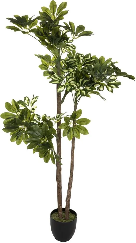 Schefflera Artificiale Atmosphera 130 cm | Trend Arredo 2026