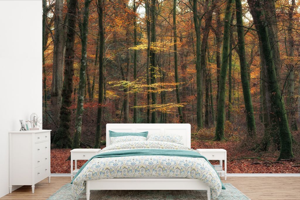 MuchoWow Fototapete für Wohnzimmer oder Schlafzimmer Wandtapete Vinyl Motivtapete Holzbank im New Forest National Park in England - 525x350 cm -...