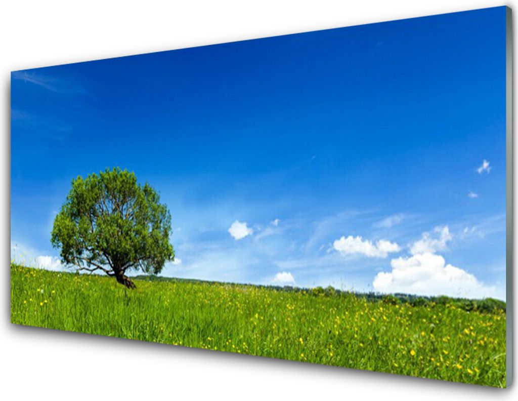 Acrylglasbilder 100x50 Wandbild Druck Gras Baum Natur