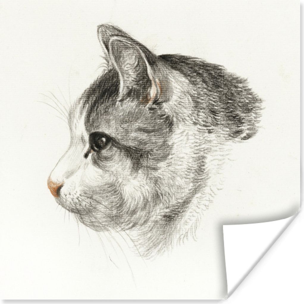 MuchoWow Poster Kopf einer Katze, nach links - Gemälde von Jean Bernard 30x30 cm - Wandposter - Printing