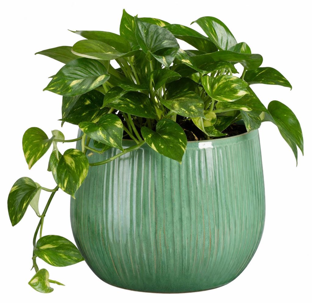 Mica Decorations Pflanzentopf - Keramik - weis glanzend / Produktbild 