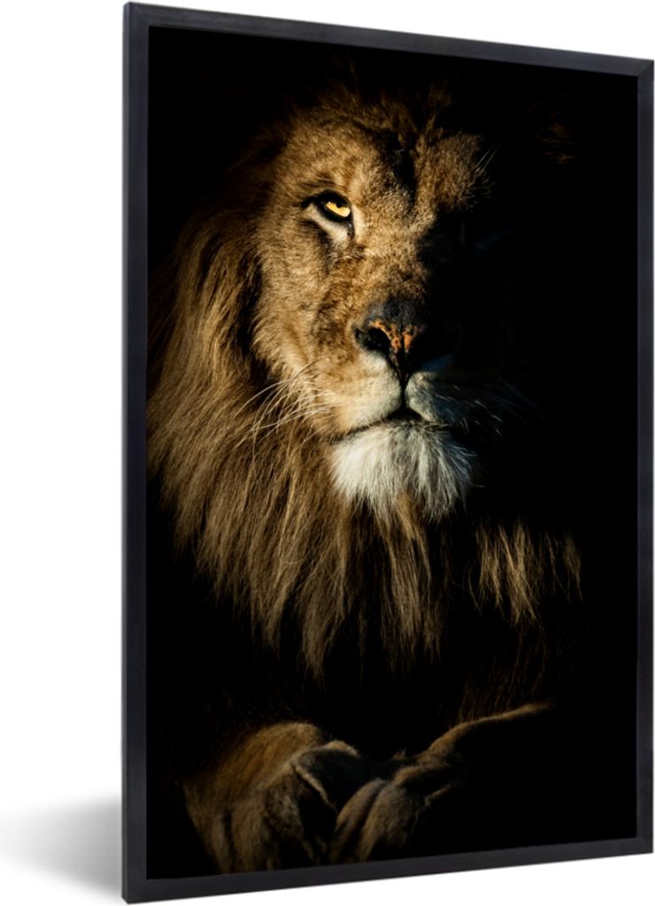 MuchoWow MuchoWow Gerahmtes Poster Löwe - Licht - Schwarz 60x90 cm - Poster mit zchwarzem Bilderrahmen - Kunst