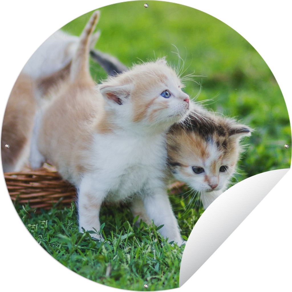 MuchoWow Gartenposter Outdoor-Poster Rund Kätzchen - Katze - Korb - Mädchen - Kinder - Jungen - Kinder Ø 150 cm Gartendeko Rundes Poster draußen