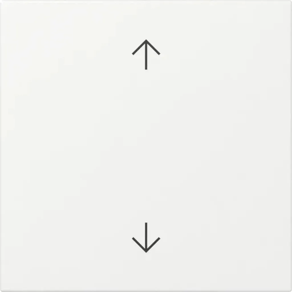 Remplacer Manette Volet Cassée : Touche Gira 361603 Système 55 Blanc Pur