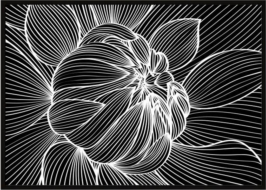Bild Poster im Rahmen 53x73 cm Blume P1059