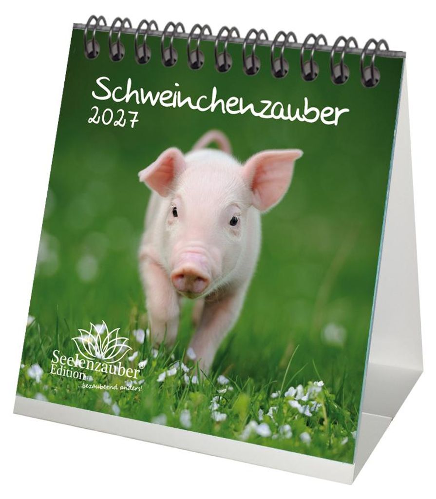 Schweinchenzauber Tischkalender 10x10cm für 2027 Schweine Produktbild 