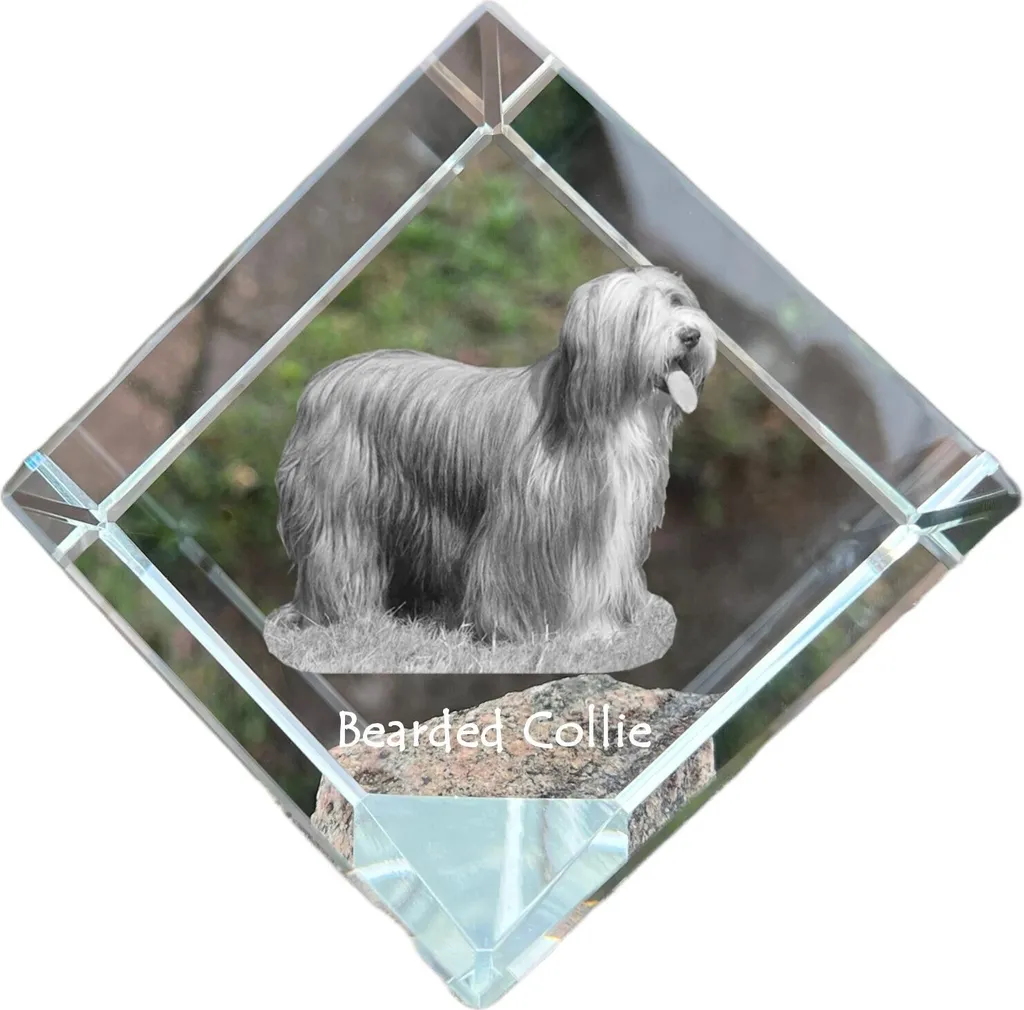 Presse-papier Cube en Cristal avec Photo de Bearded Collie Gravée 3D