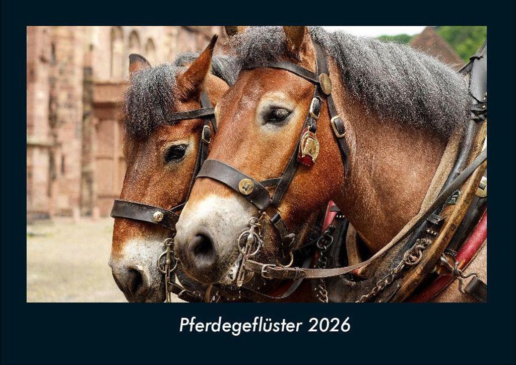 Pferdegeflüster 2026 Fotokalender - Querformat DIN A4, Monatskalender mit Bild-Motiven von Haustieren, Bauernhof, wilden Tieren und Raubtieren