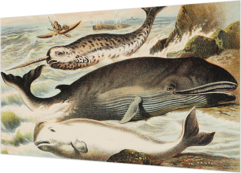 Fototapete - Wandbilder für Wohnzimmer - 416x254 - Dekorative Wandfolie - Modernes Design für Wanddekoration - Tapeten für Innenräume - Meeresr...