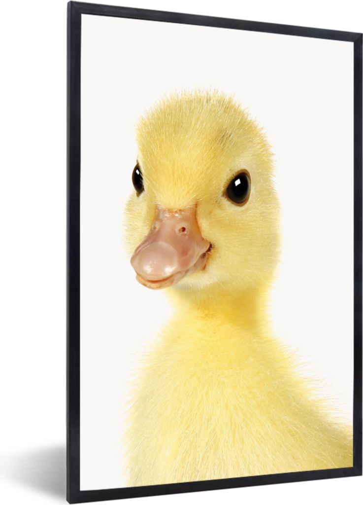 MuchoWow Gerahmtes Poster Ente - Küken - Süß - Kinder - Mädchen - Jungen 60x90 cm - Poster mit Schwarzem Bilderrahmen Wandposter Rahmen Foto ...