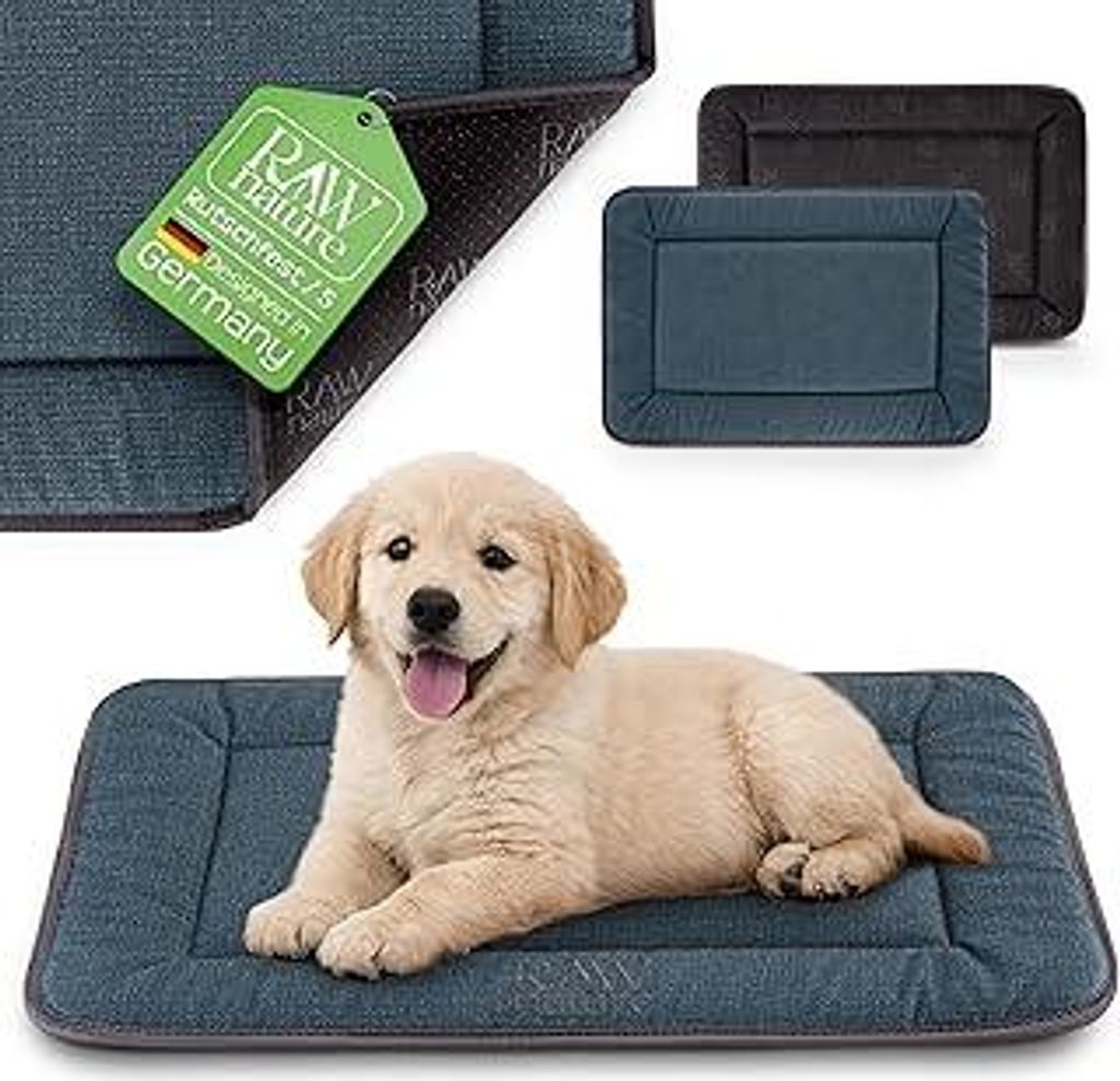 RAW Nature Hundematte KIVO S – 60x45x3 cm Lagunengrün, rutschfeste Hundeliegematte aus Cord, waschbar, für Transportbox & Zuhause
