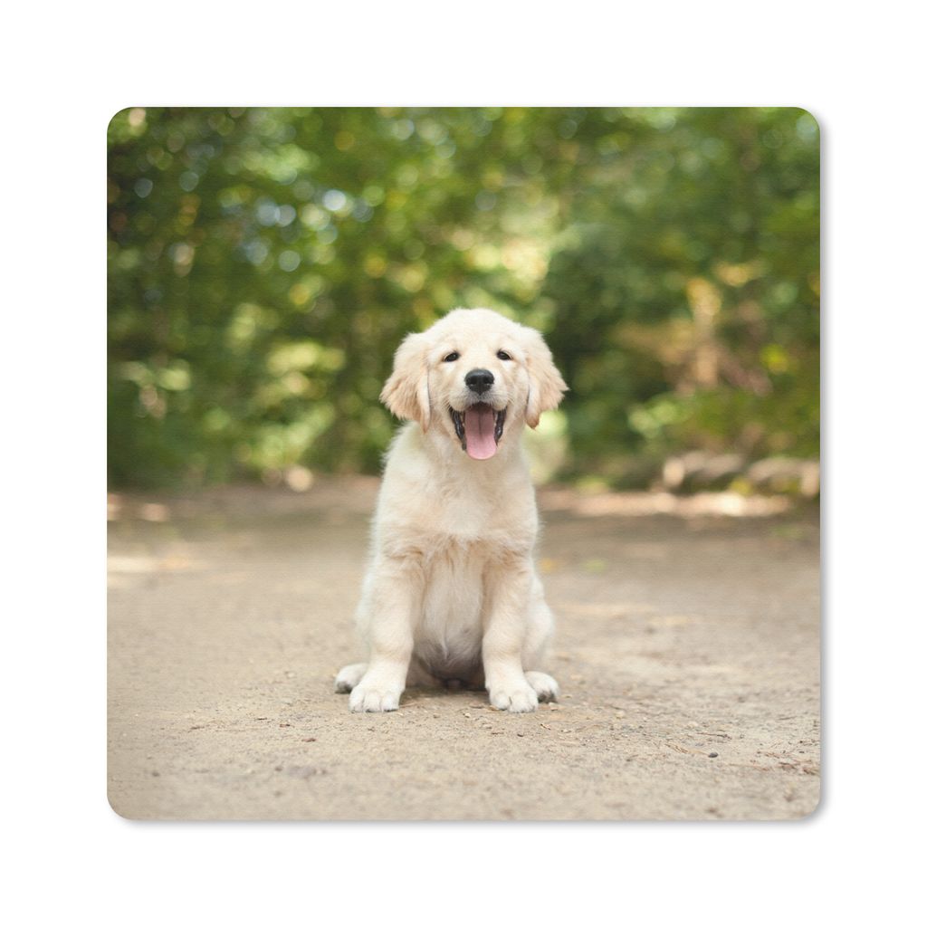 MuchoWow Mauspad Mousepad Labrador Retriever Welpe sitzt auf einem Waldweg 30x30 cm - Mousepads - Maus Mat - Pad - Mausunterlage - Gaming