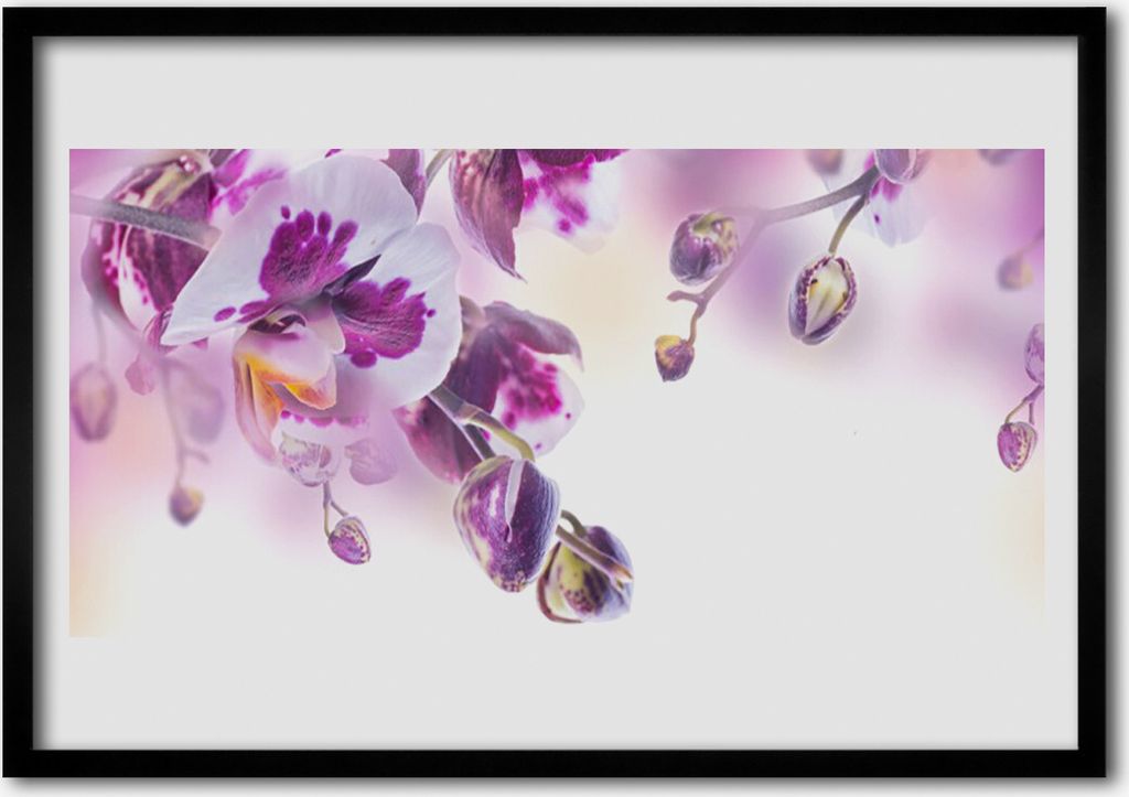 Bild 70x50 MDF-Rahmen Wandkunst Blumen Pflanzen Natur