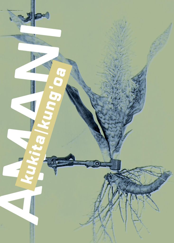 Amani
