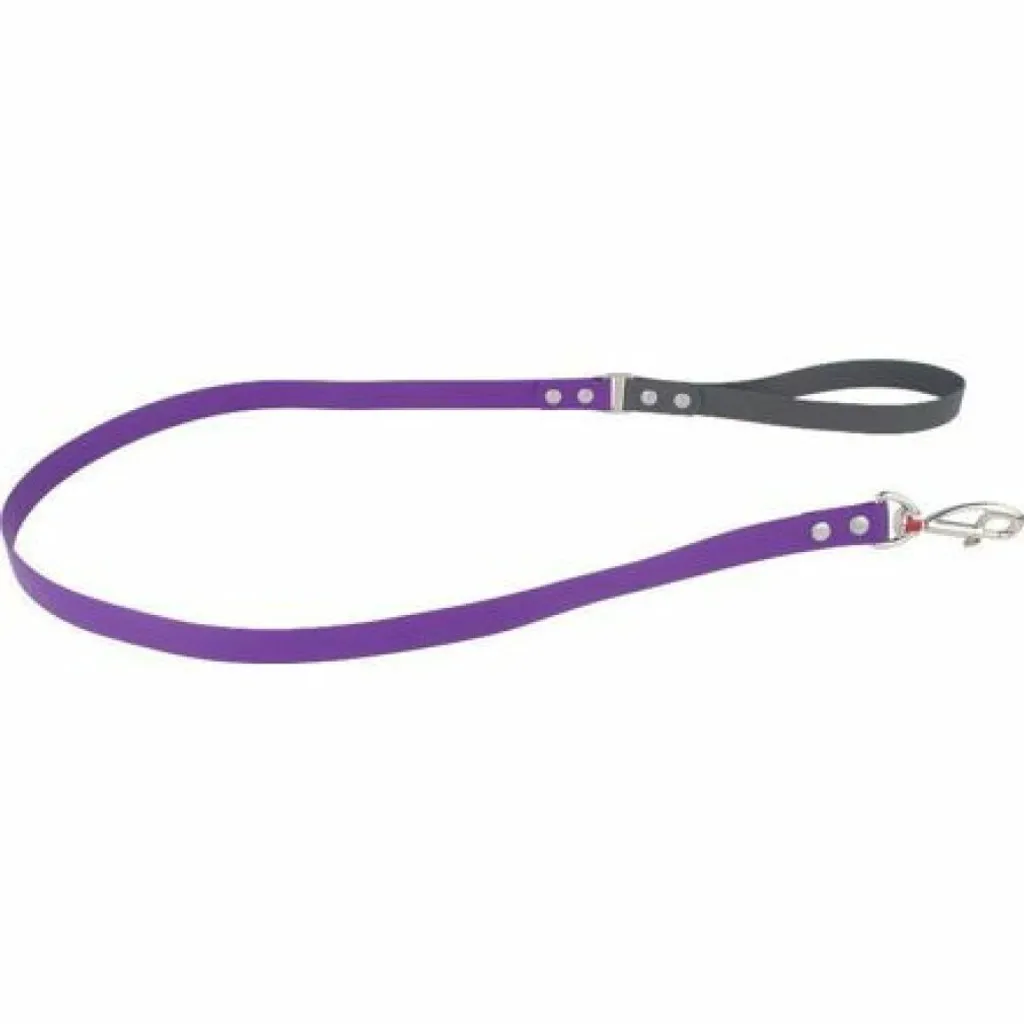 Guinzaglio Red Dingo Vivid Viola 1.2m - Per Avventure Impermeabili