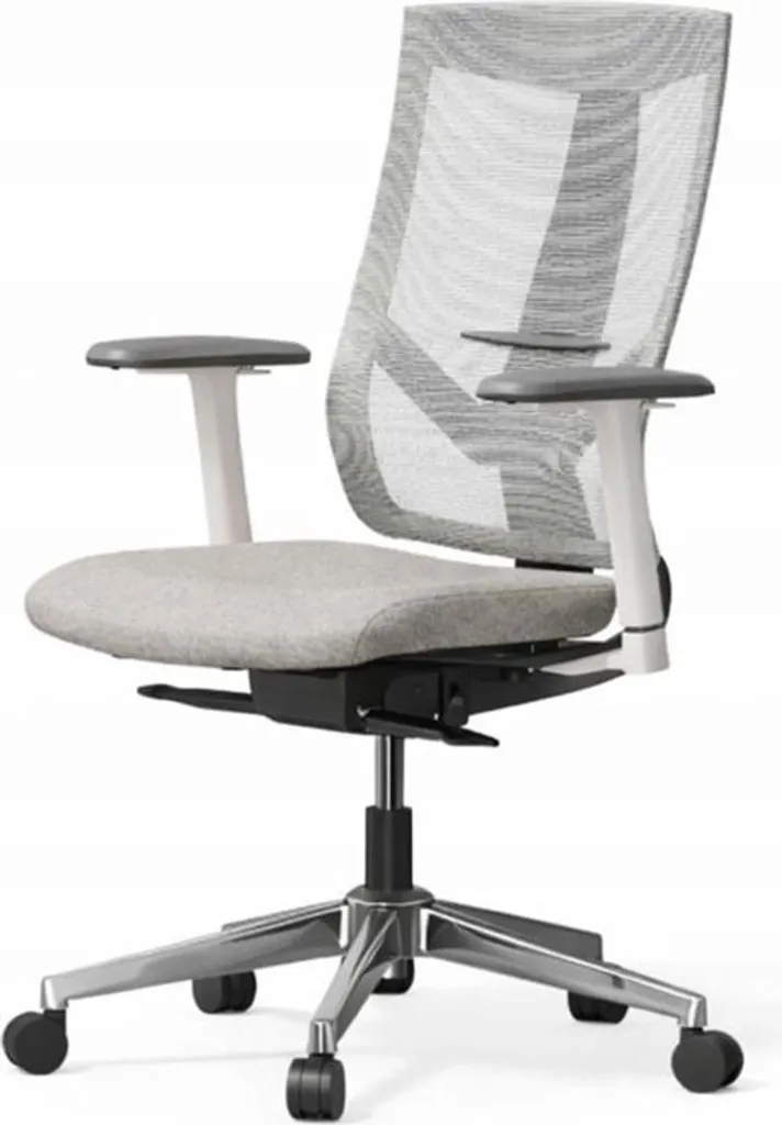 Chaise ergonomique BS6G-Lite grise contre le mal de dos au bureau - Pro