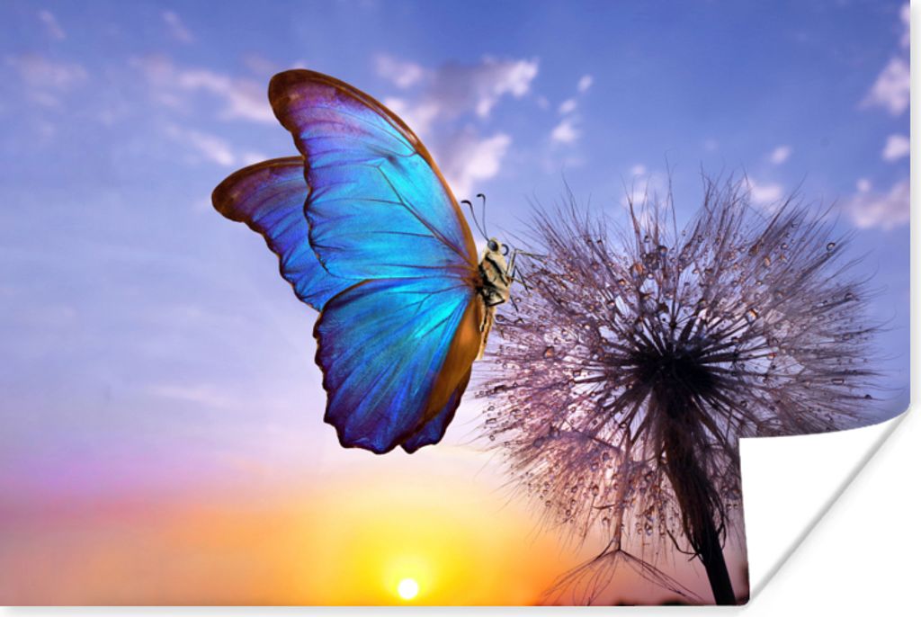 MuchoWow Poster Schmetterling - Sonnenuntergang - Löwenzahn - Blau 180x120 cm - Fotoplakat