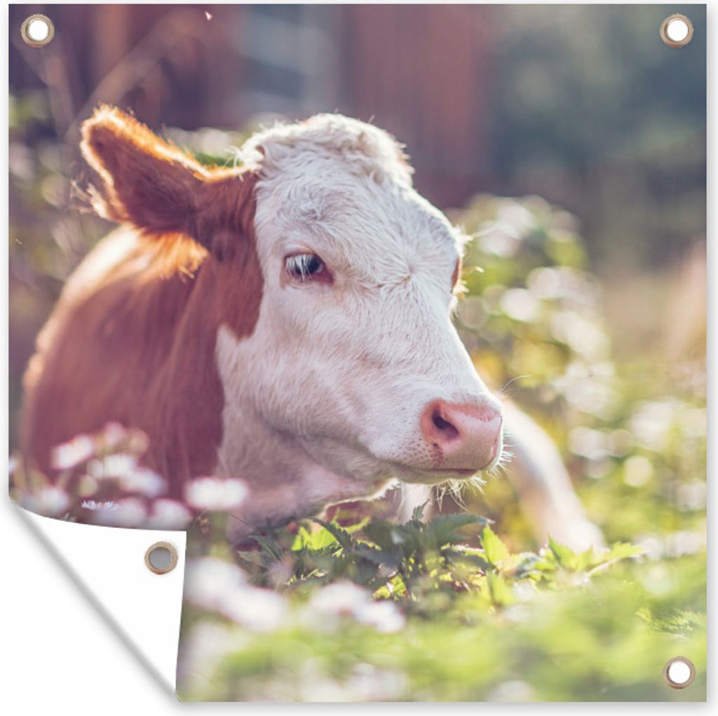 MuchoWow 100x100 cm Outdoor-Poster Gartendeko Sichtschutz Garten Poster für den Garten Kuh - Sonne - Blumen